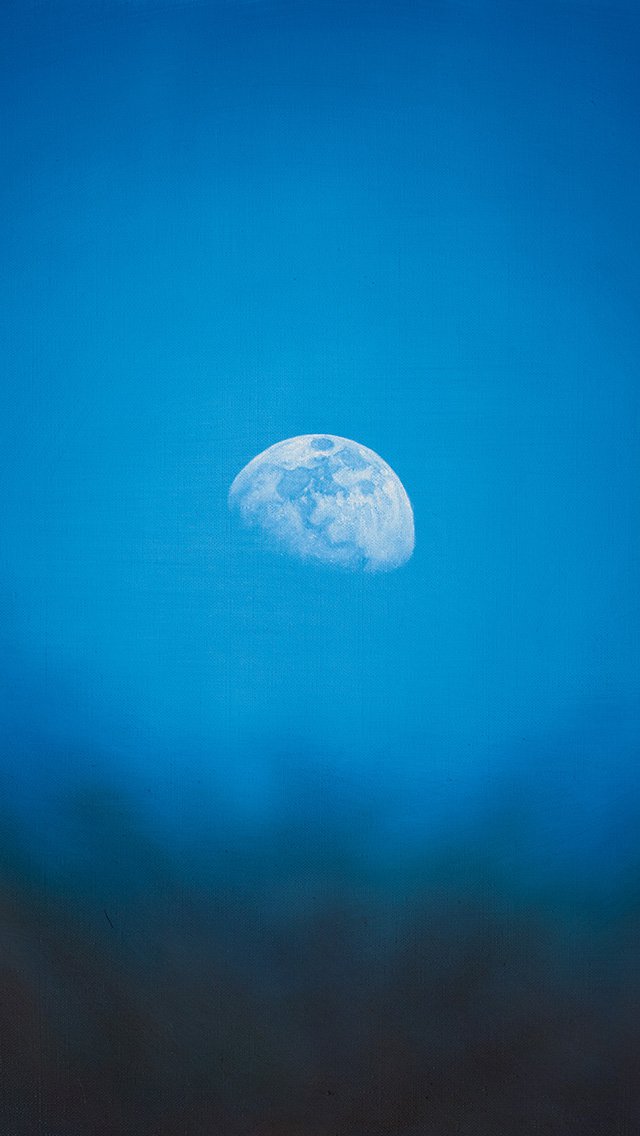 月球全景图 蓝色天空下的地球落日