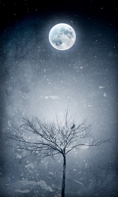 雪花月光下的枯树 月球全景