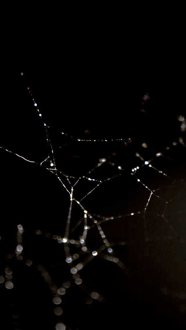 夜色下的蜘蛛网创意背景