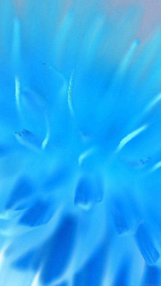 微观镜头下的蓝色植物背景