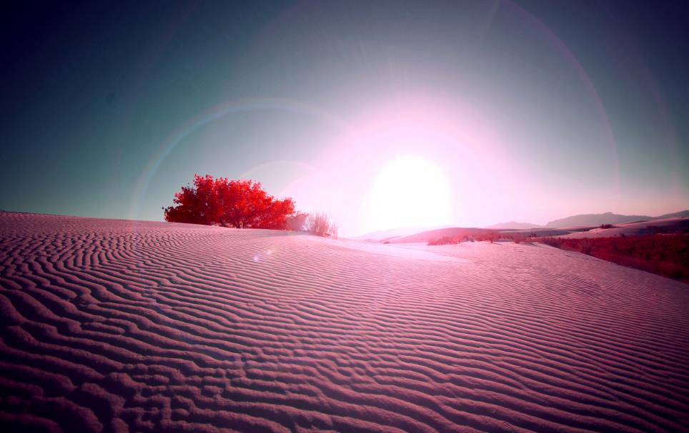 唯美红色沙漠耀斑图片