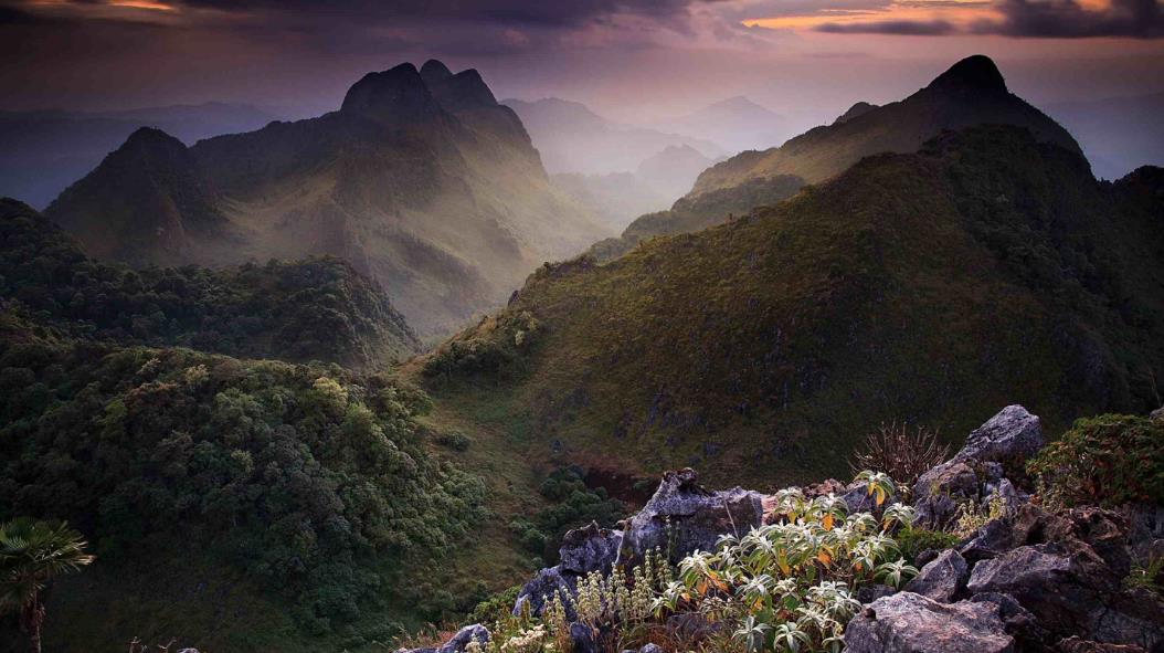 泰国群山丛林4K图片 山脉壁纸