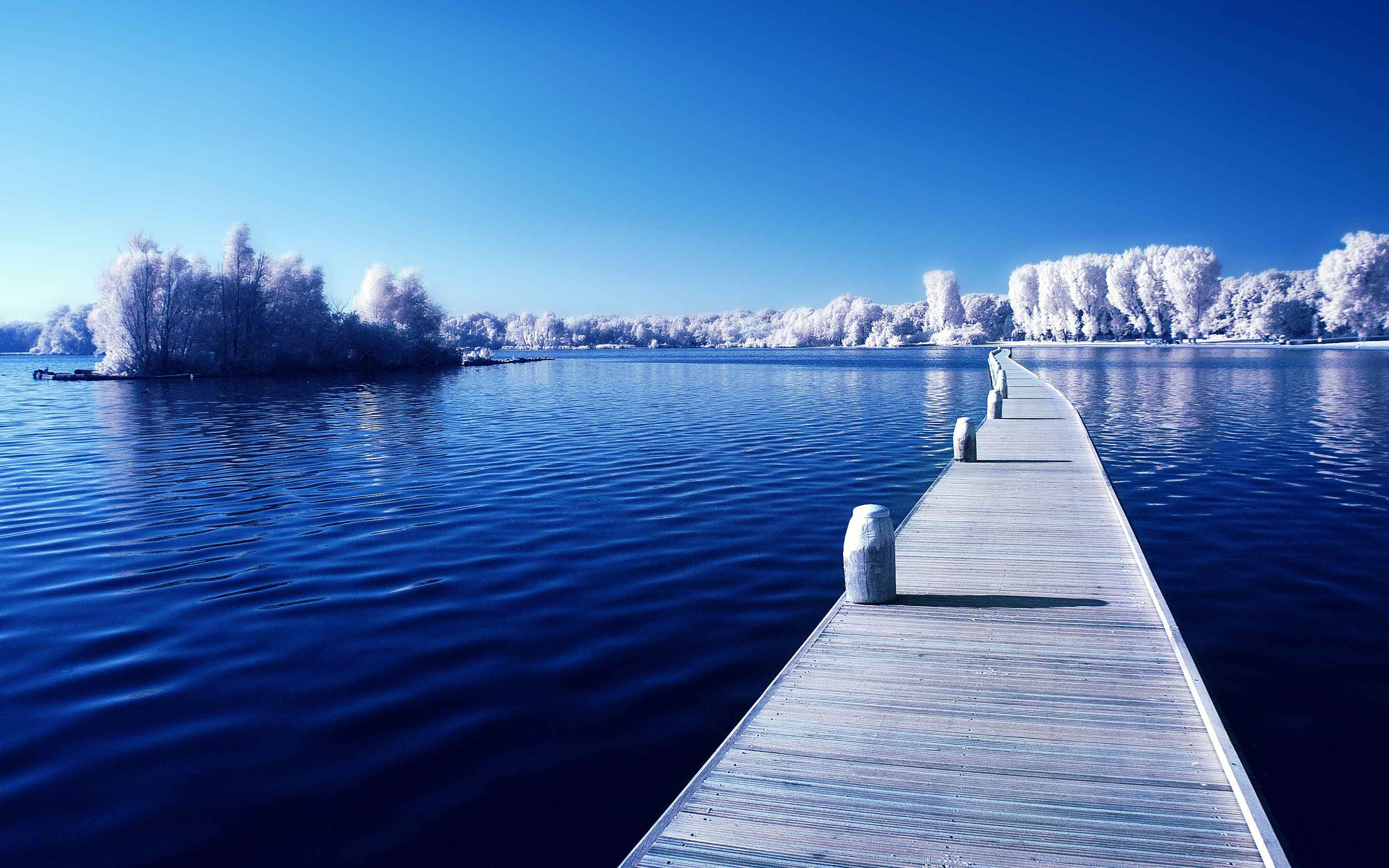 完美冬天 树 湖水 小桥 蓝天白云壁纸 3K