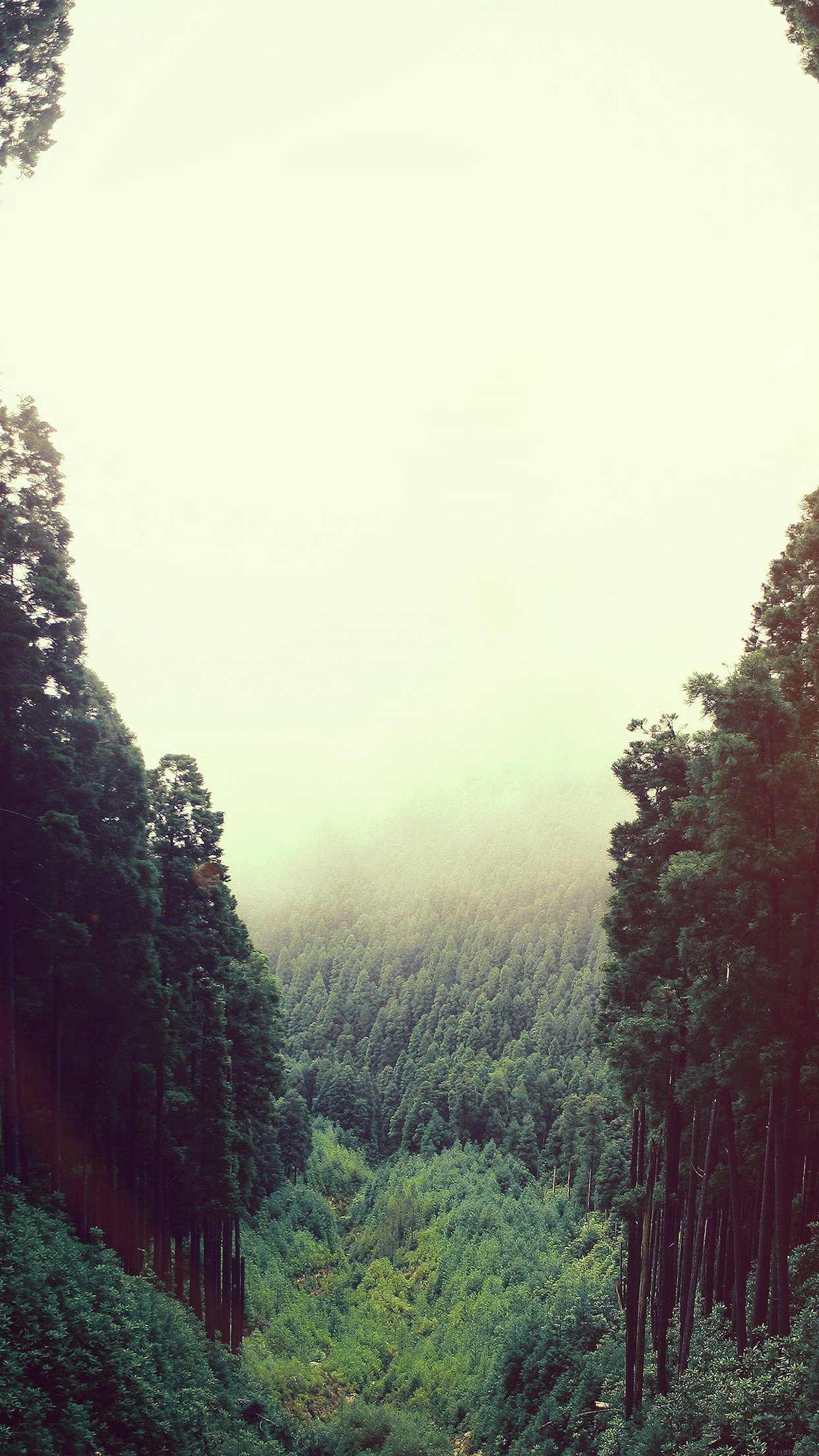 迷雾下的峡谷壁纸 仙境一般的风景