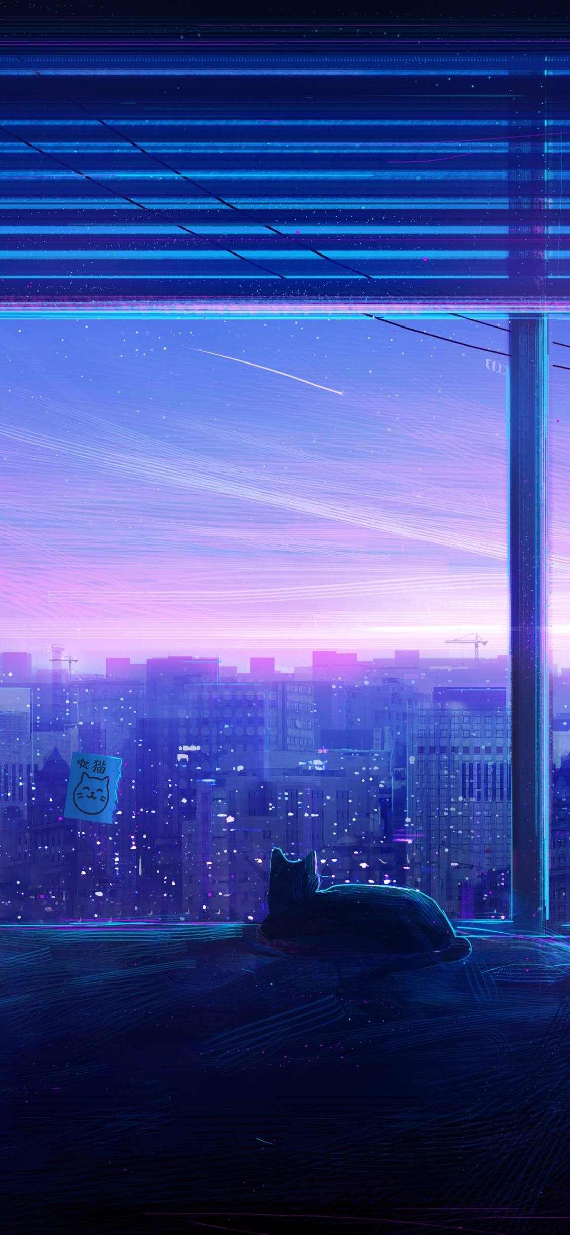 趴在天台上看着城市风光的猫壁纸