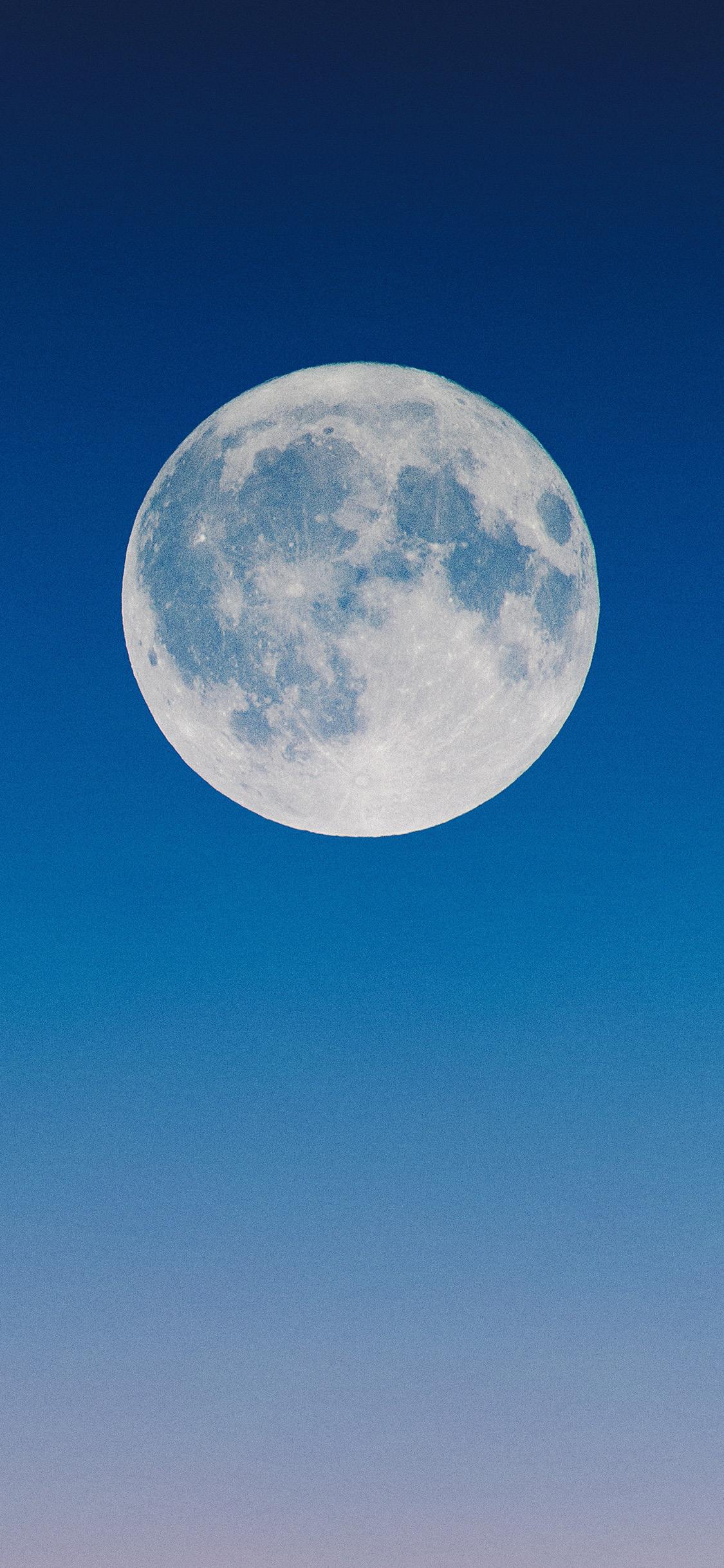 高清满月风景壁纸 黄昏 月球全景
