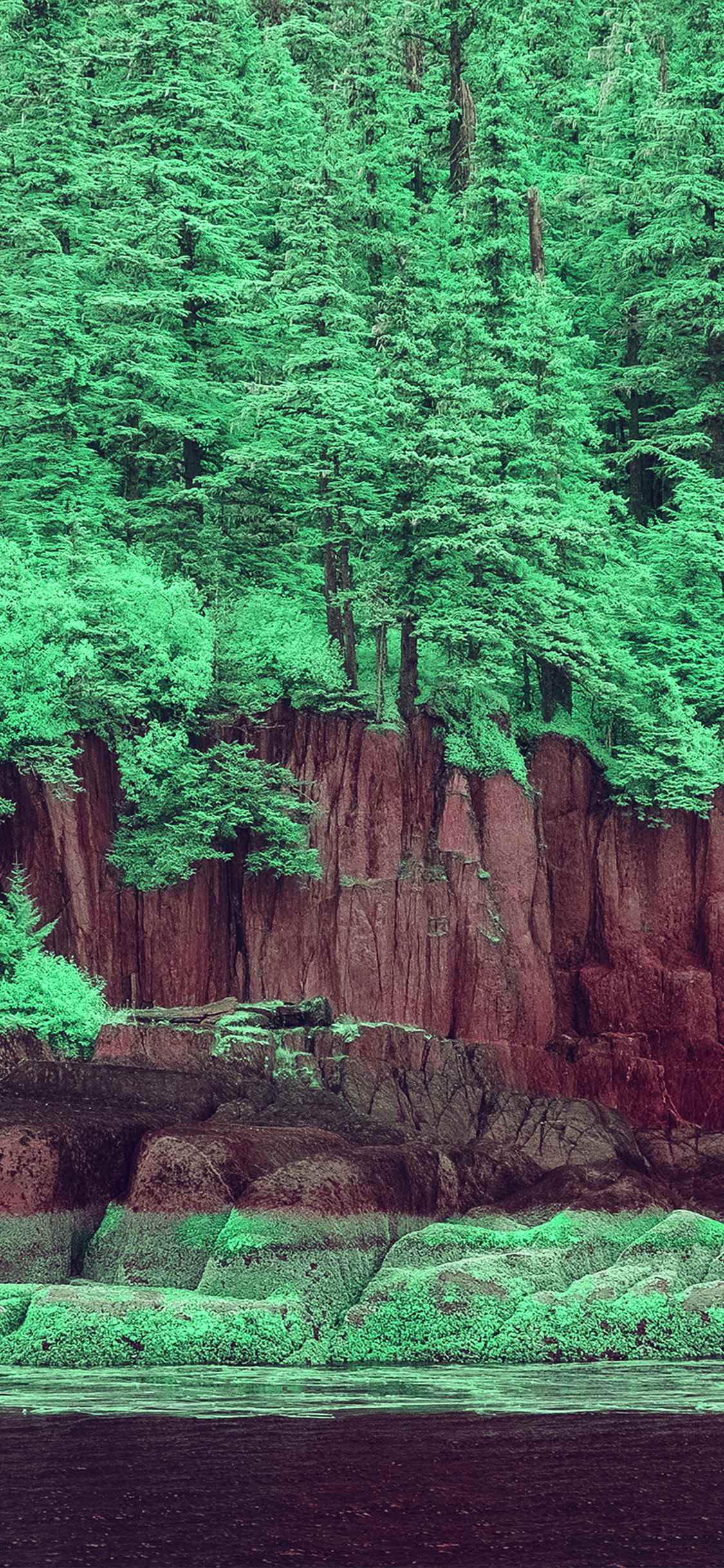 悬崖边绿油油的树林高清手机壁纸