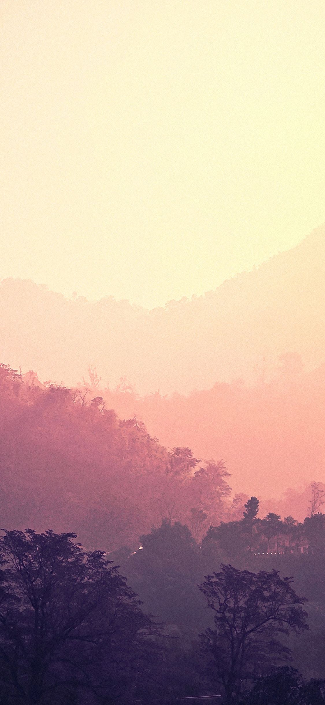 雾蒙蒙的森林唯美风景手机壁纸