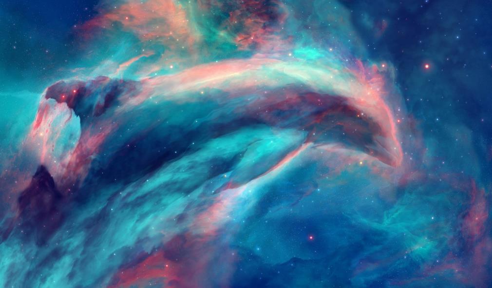 海豚星云空间